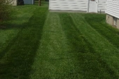 Lawn