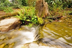 Welcoming Water Feature