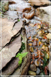 contact_us_photo