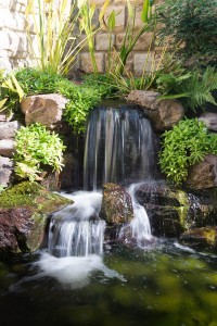 pond waterfall installation Baltimore, MD