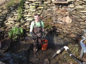 Pond Cleaning in Baltimore, MD