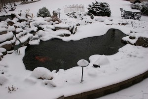 pond in winter Maryland