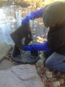 Pond Maintenance Company in Towson, MD