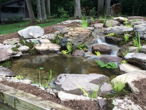 Top 5 Beautiful Backyard Pond Waterfall Ideas Baltimore Pond Companies How To Build A Pond Baltimore Maryland Ponds And Waterfalls Installation Repair Maintenance