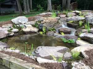 Pond with stream in Harford County, MD