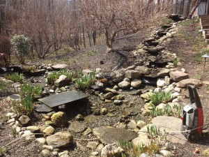 Spring Pond Maintenance Harford County, MD